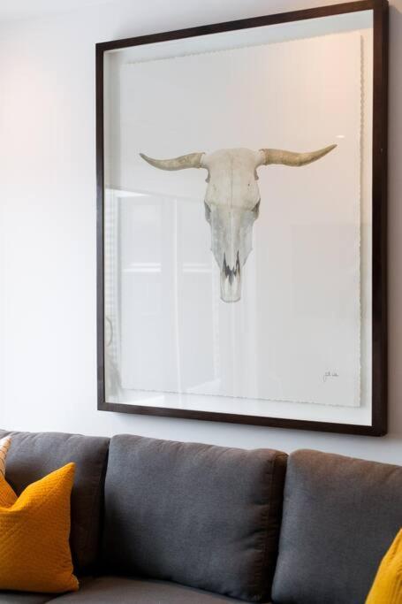 Sleek Condo In The Heart Of Little Italy By Den Stays مونتريال المظهر الخارجي الصورة