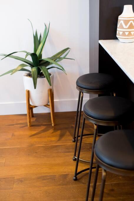 Sleek Condo In The Heart Of Little Italy By Den Stays مونتريال المظهر الخارجي الصورة